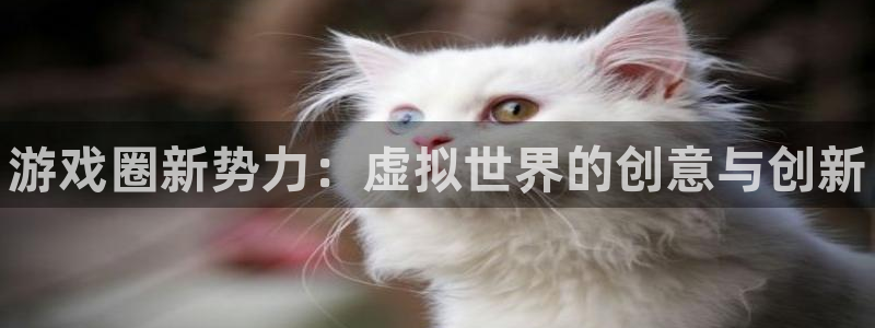 蓝冠娱乐app：游戏圈新势力：虚拟世界的创意与创新