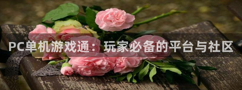 蓝冠娱乐：PC单机游戏通：玩家必备的平台与社区