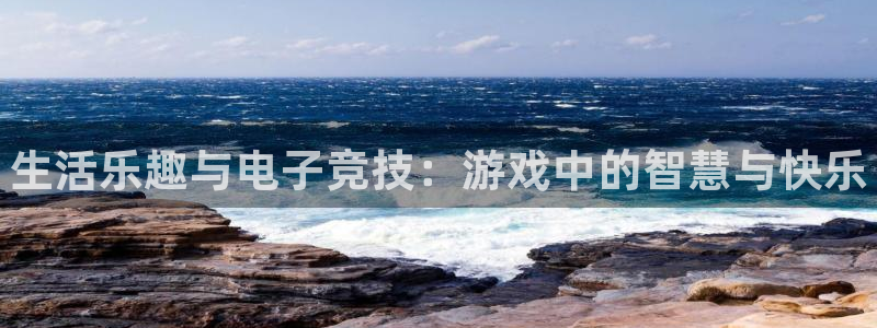 蓝冠娱乐官网登录：生活乐趣与电子竞技：游戏中的智慧与快乐