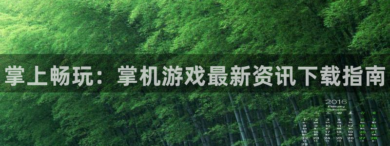 蓝冠娱乐测速：掌上畅玩：掌机游戏最新资讯下载指南