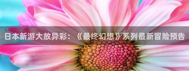 蓝冠娱乐平台官网注册：日本新游大放异彩：《最终幻想》系列最新