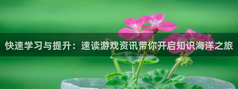 蓝冠娱乐平台登录：快速学习与提升：速读游戏资讯带你开启知识海