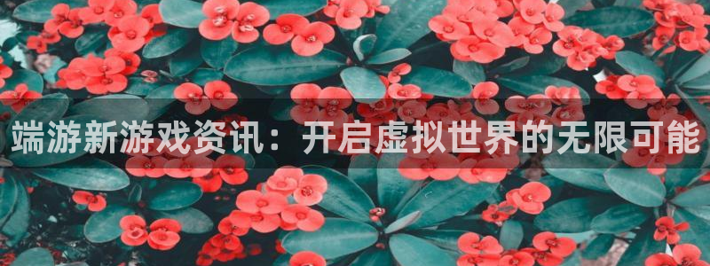 蓝冠娱乐4主管：端游新游戏资讯：开启虚拟世界的无限可能