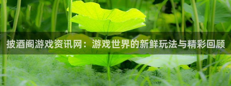 蓝冠娱乐官方注册登录：披酒阁游戏资讯网：游戏世界的新鲜玩法与