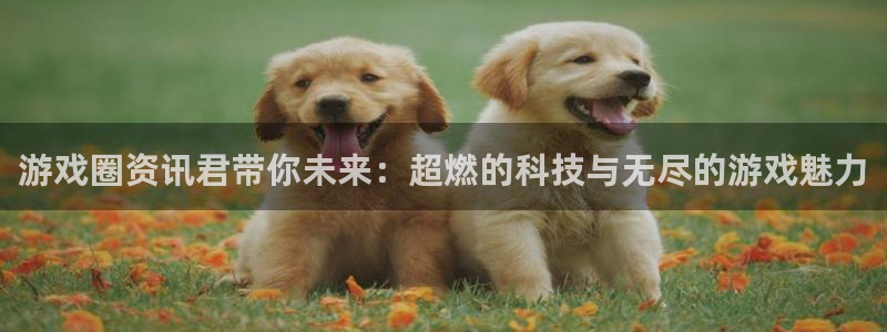 蓝冠娱乐测速登陆：游戏圈资讯君带你未来：超燃的科技与无尽的游