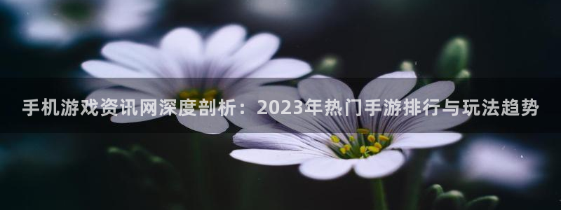 蓝冠娱乐开户测速：手机游戏资讯网深度剖析：2023年热门手游
