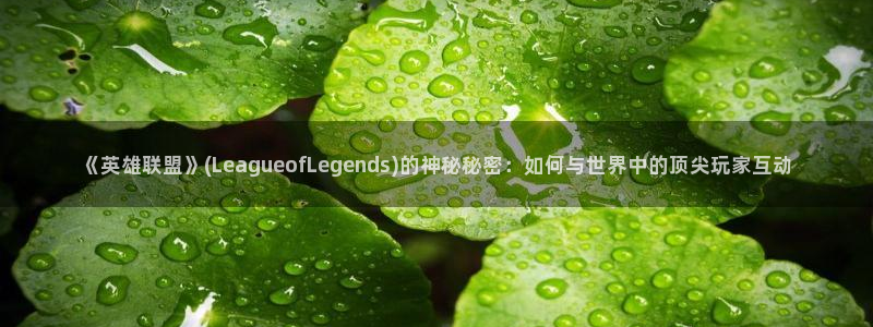 蓝冠娱乐注册登录：《英雄联盟》(LeagueofLegend