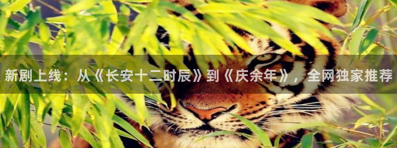 jrkan视频直播nba：新剧上线：从《长安十二时辰》到《庆余年》，全网独家推荐