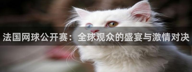 jrkan直播：法国网球公开赛：全球观众的盛宴与激情对决