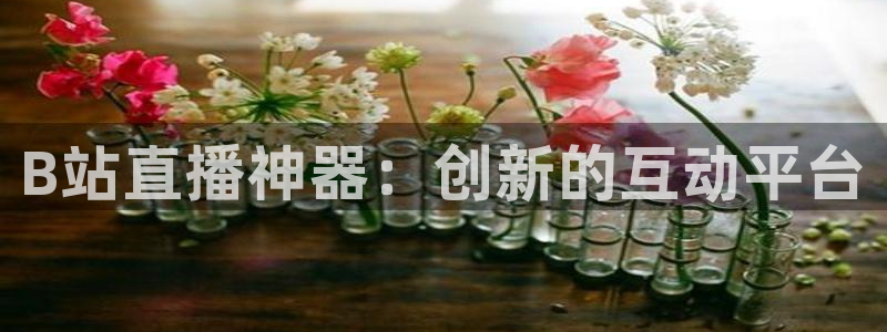 jr看直播nba：B站直播神器：创新的互动平台