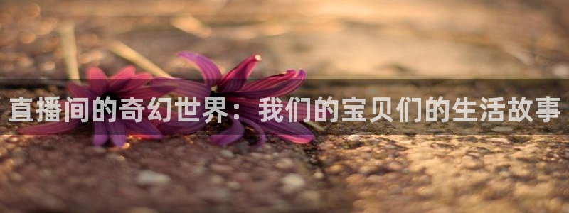 jrkan直播nba直播：直播间的奇幻世界：我们的宝贝们的生活故事
