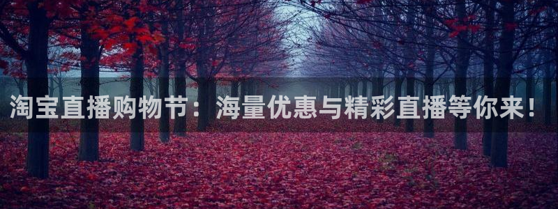 jrkan视频直播nba：淘宝直播购物节：海量优惠与精彩直播等你来！