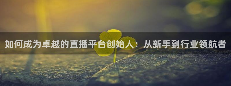 jrkan2022直播体育网：如何成为卓越的直播平台创始人：从新手到行业领航者