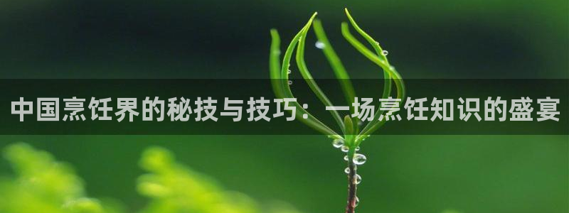 蓝冠官网：中国烹饪界的秘技与技巧：一场烹饪知识的盛宴