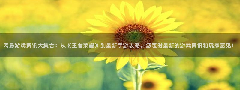 蓝冠机电：网易游戏资讯大集合：从《王者荣耀》到最新手游攻略，
