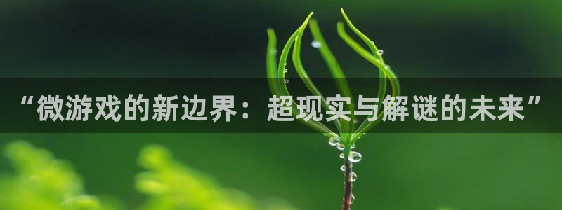 蓝冠电子科技有限公司招聘：“微游戏的新边界：超现实与解谜的未